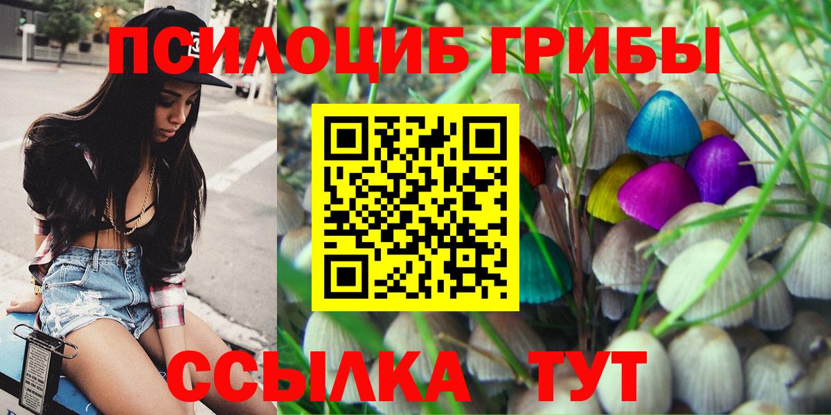 сколько стоит  Вход с VPN  Назарово  Псилоцибиновые грибы Cubensis 